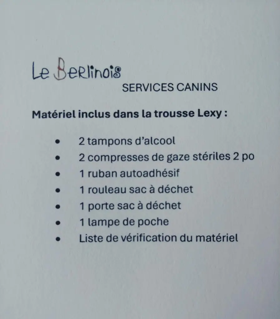 Lexy.liste.webp