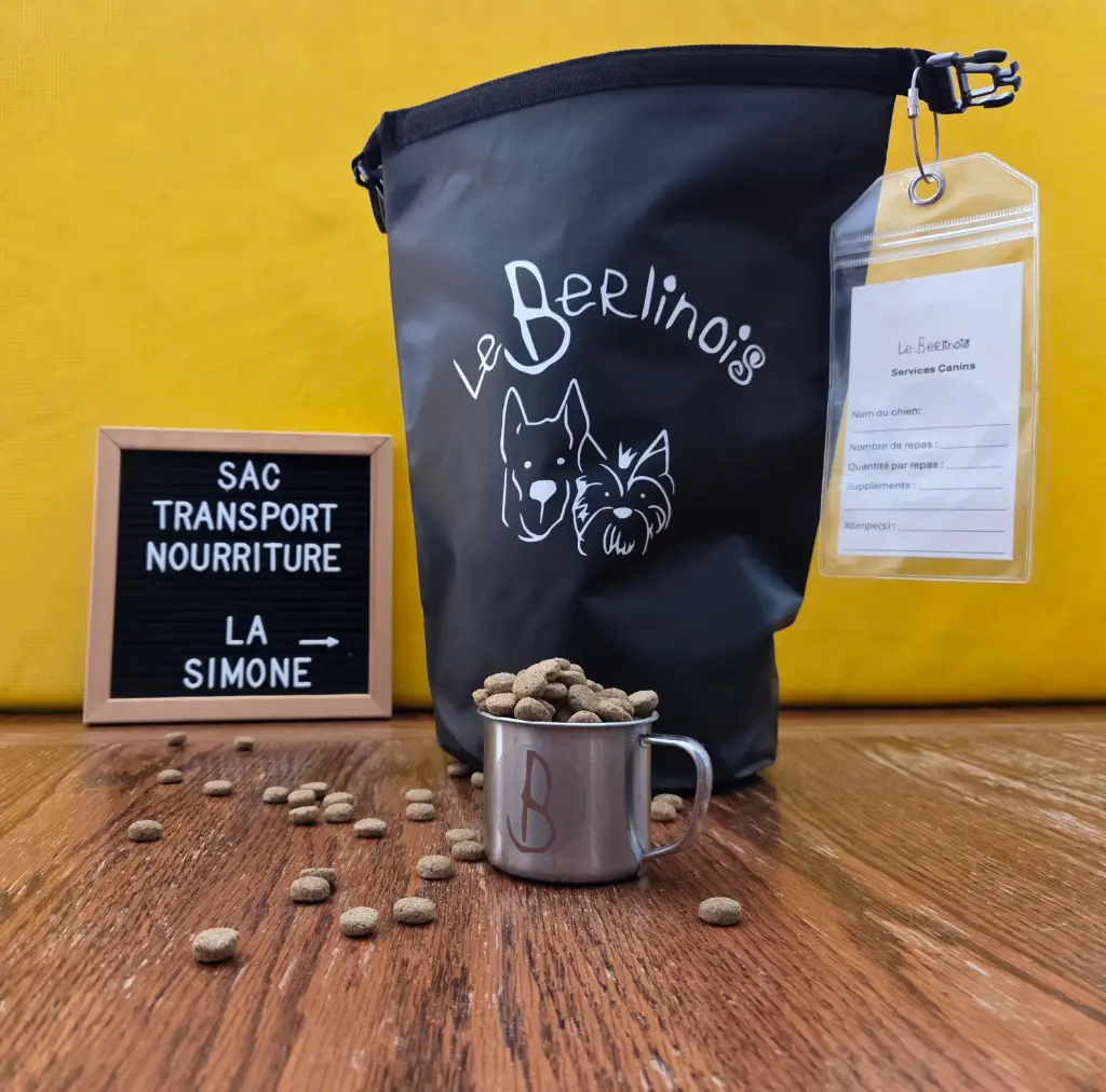 Sac nourriture Simone