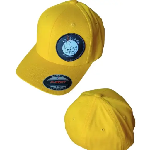 Casquette Flexfit